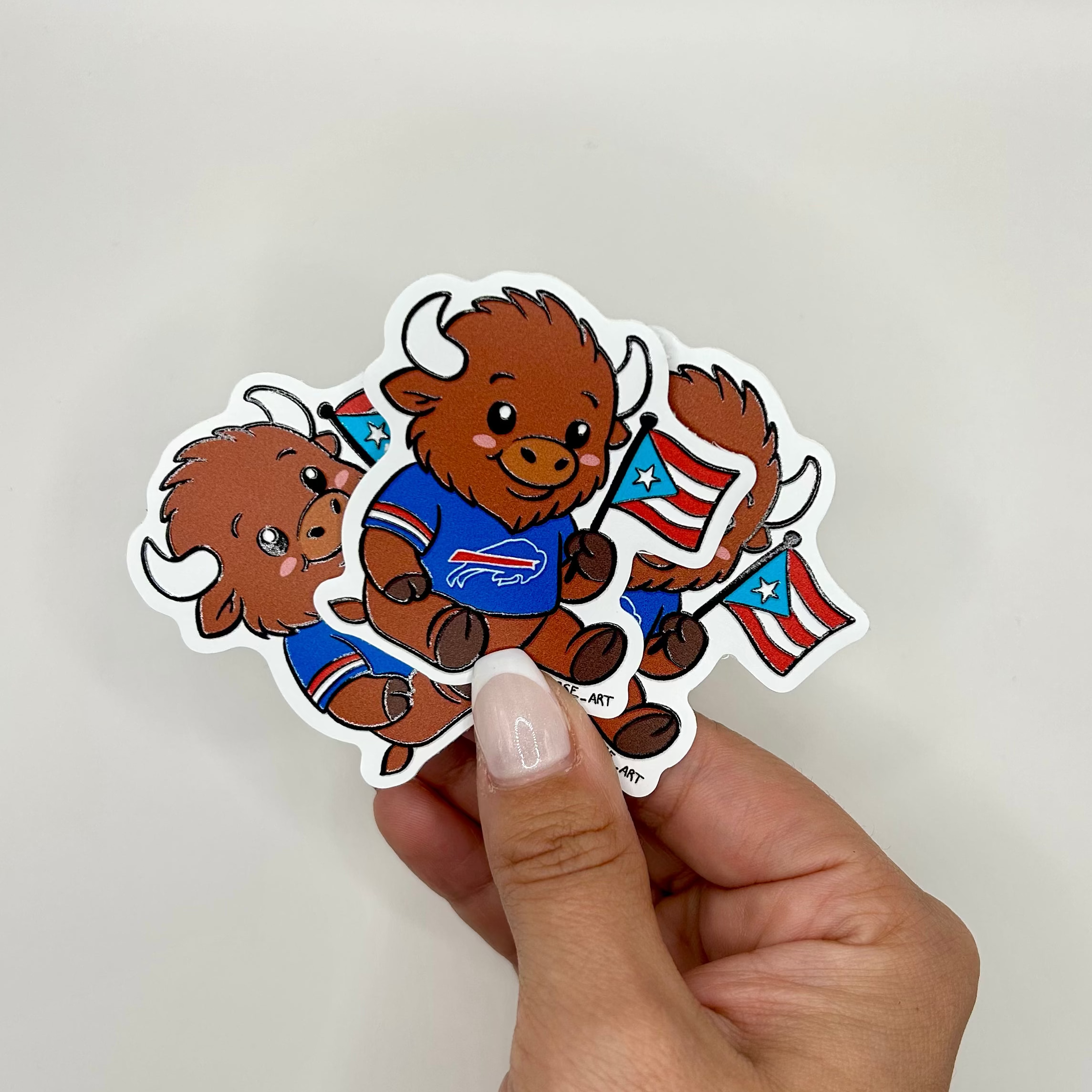 Buffalo Football with Puerto Rican Flag
