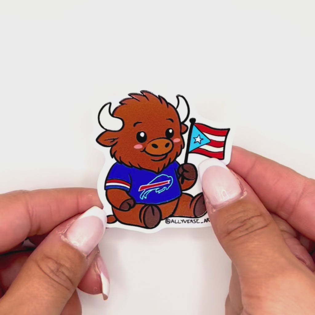 Buffalo Football with Puerto Rican Flag